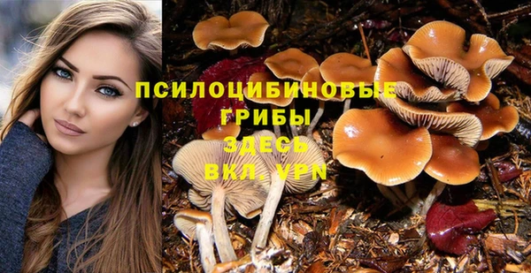 кокс Армянск
