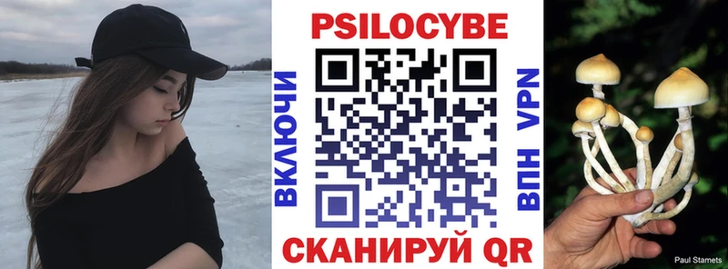 Псилоцибиновые грибы GOLDEN TEACHER Порхов