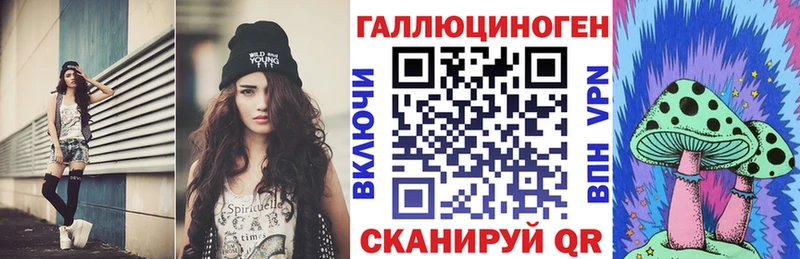 Галлюциногенные грибы Psilocybine cubensis  закладки  Порхов 